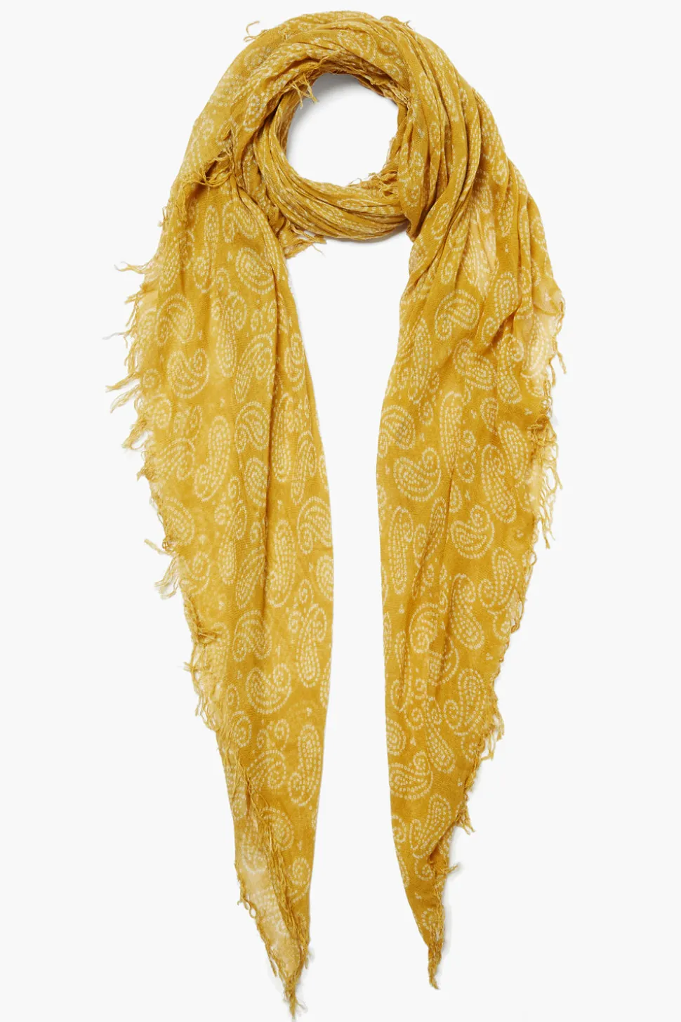 Cashmere and Silk Scarf Narcissus Dotted Paisley
