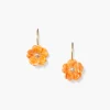 14k Poppy Earrings Lion's Paw
