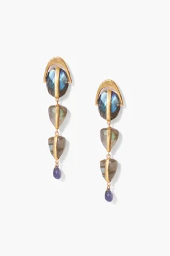 Labradorite Mix Rise Earrings