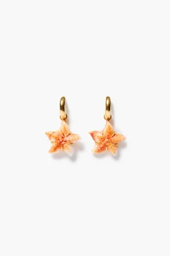 Starfish Hoop Earrings Orange